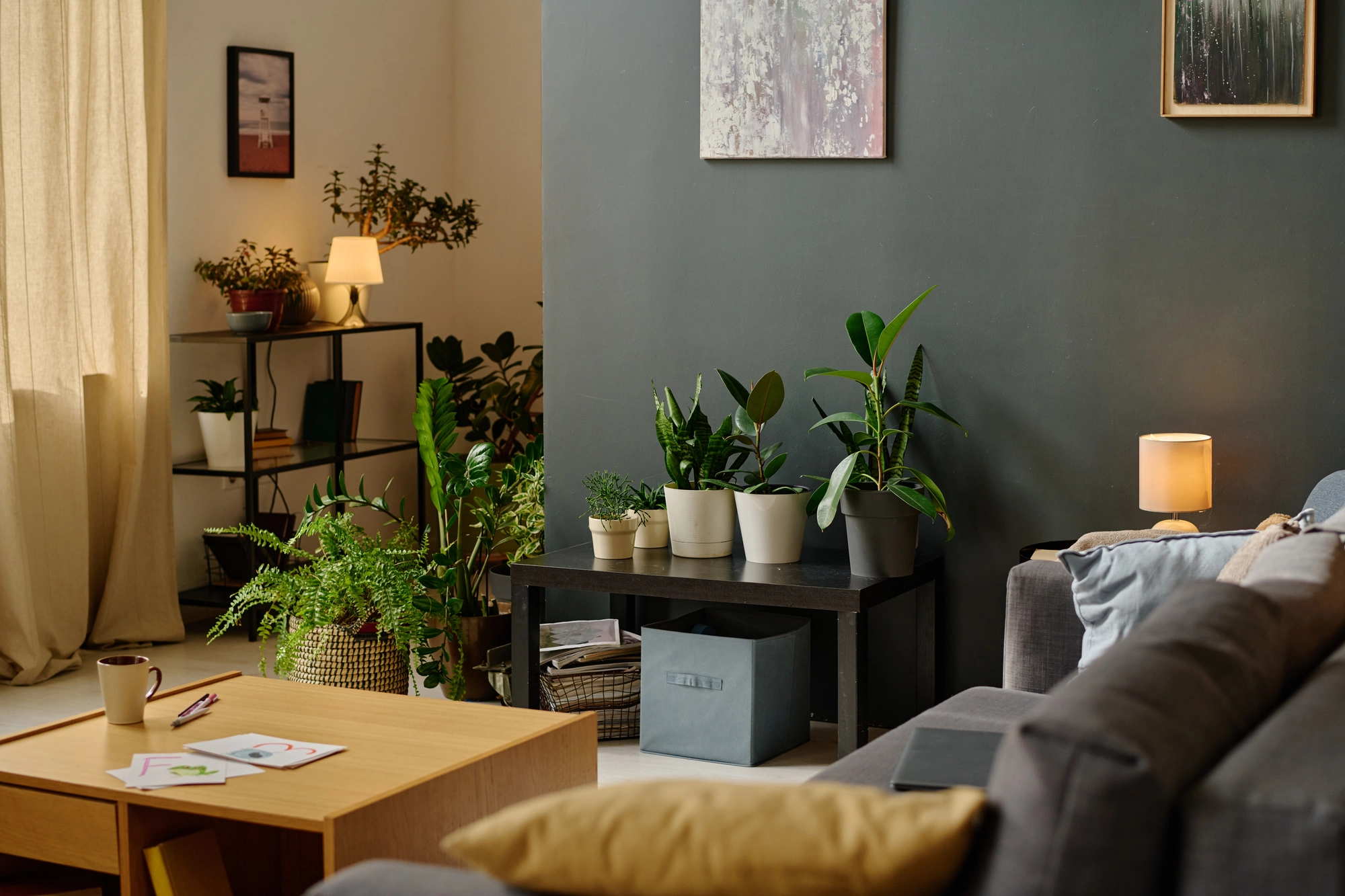 Interior designer services in Ahmedabad